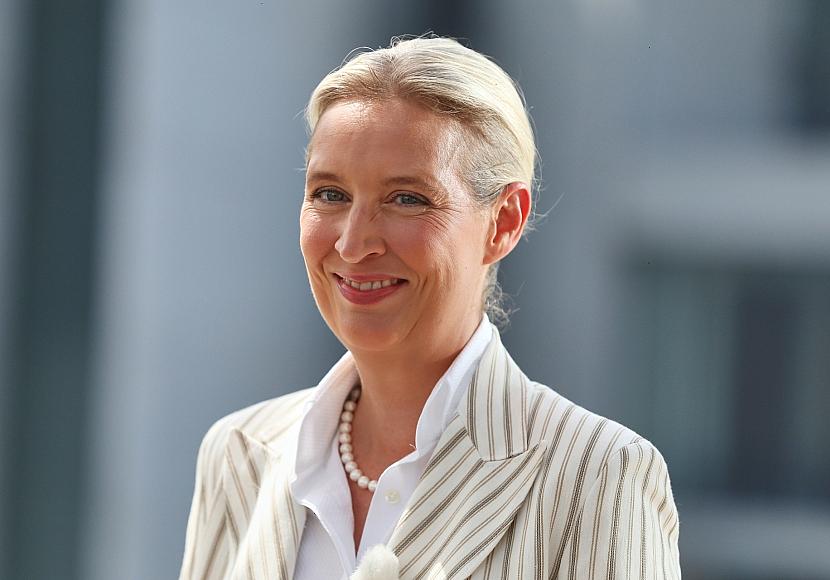 Insa: Wählerpotenzial der AfD steigt auf Rekordhoch