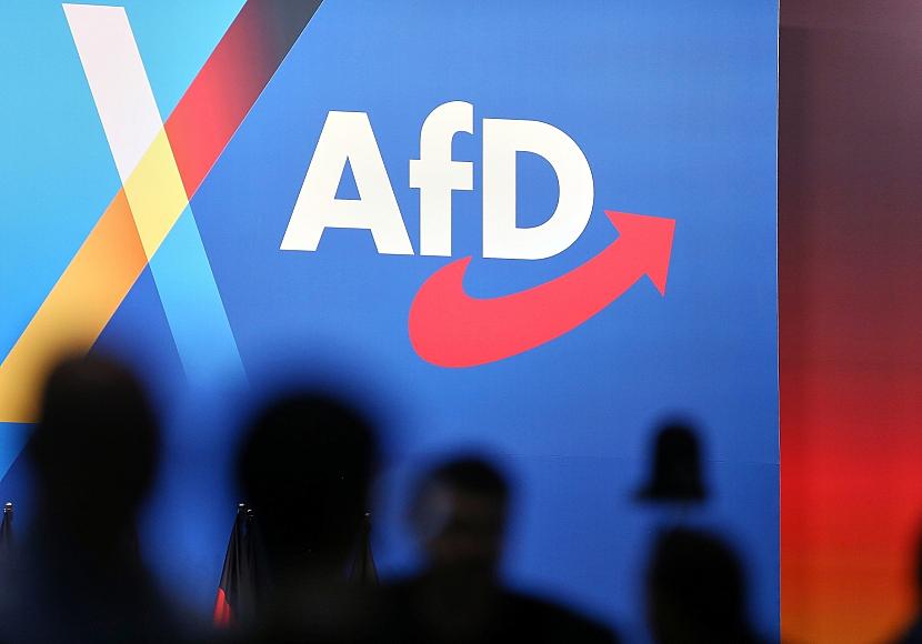 Ökonomen machen Union und SPD für AfD-Aufstieg verantwortlich