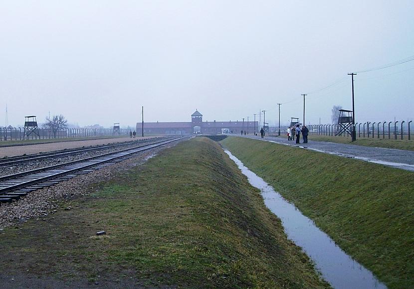 Experten wollen frühere Holocaust-Aufklärung in deutschen Schulen