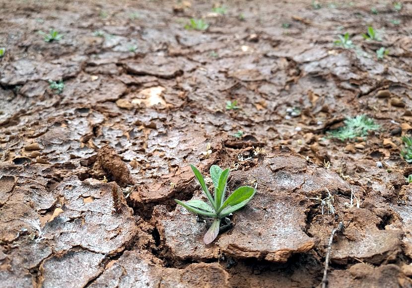 UNHCR: Klimawandel treibt Millionen Menschen zur Flucht