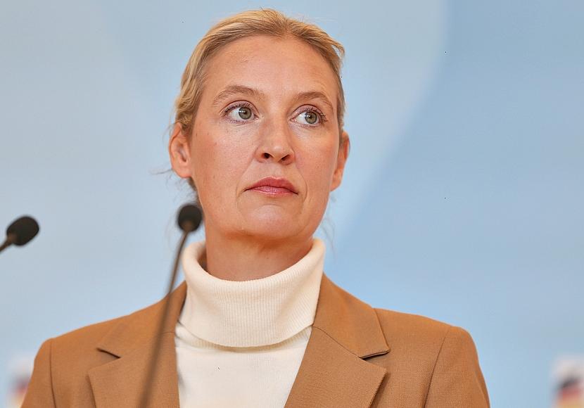 Forsa: AfD weiter vorn - Linke verliert