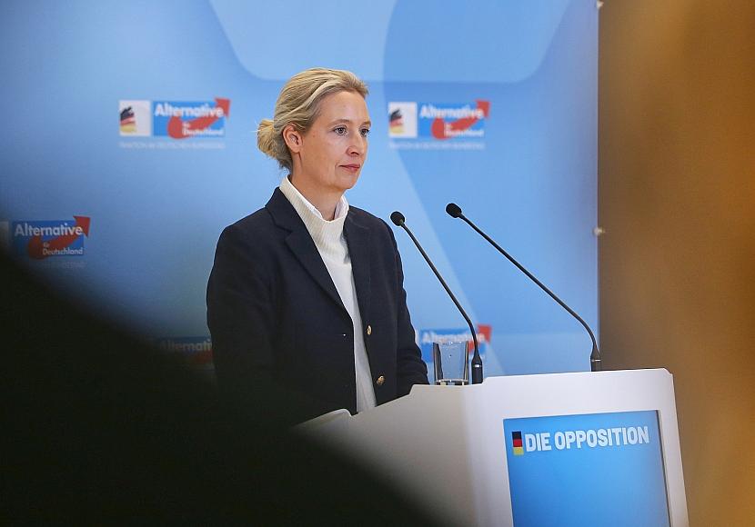Weidel: Keine AfD-Unterstützung für Merz bei Vertrauensfrage