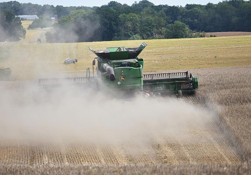 Landwirtschaft kämpft mit stagnierenden Gewinnen und Preisdruck