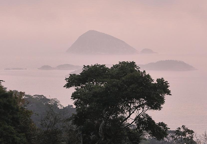 IPBES: Unternehmen gefährden durch Naturzerstörung eigene Zukunft