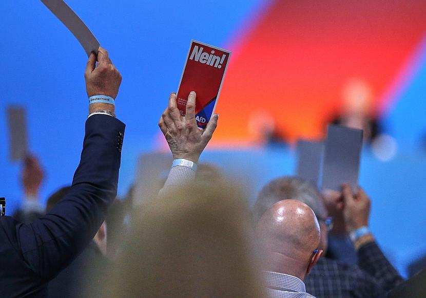 Bericht: AfD-Mitglieder fordern Sonderparteitag in Sachsen-Anhalt