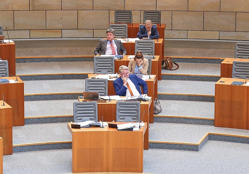 AfD-Landtagsabgeordnete beschäftigen besonders viele Mitarbeiter