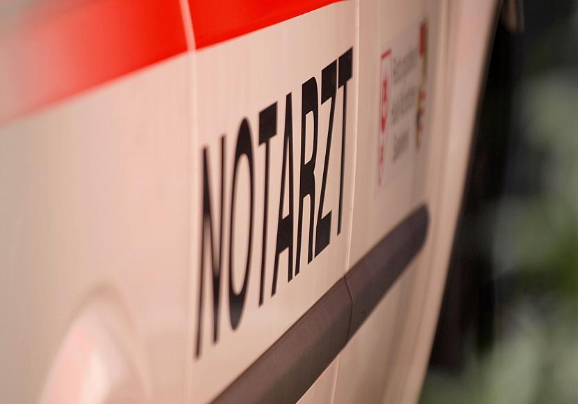 Drei Tote nach Baumsturz bei Ostersuche nahe Flensburg