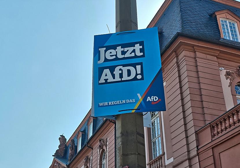 Studie: Subventionen können AfD ausbremsen