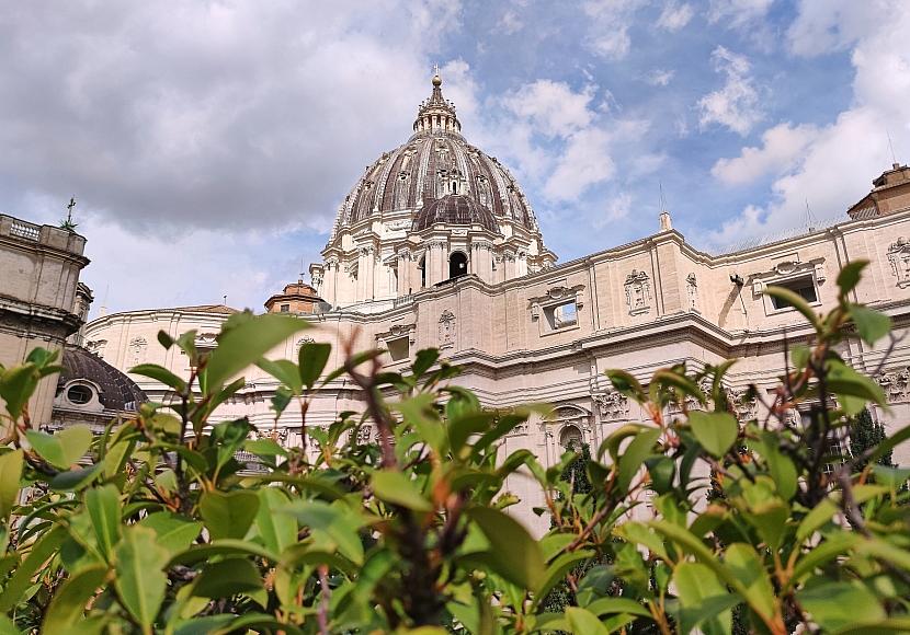 Papst ruft zur 