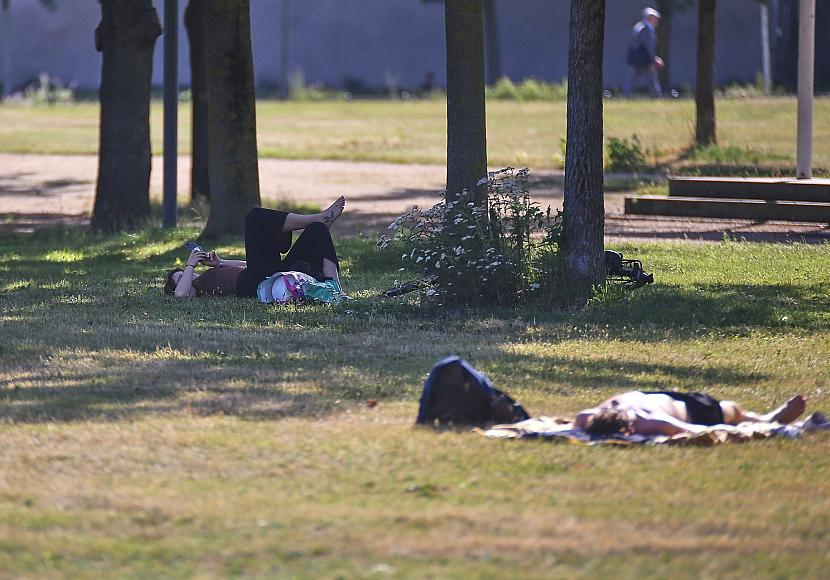 Ministerium: Hitzewelle fordert im Saarland viele Todesopfer