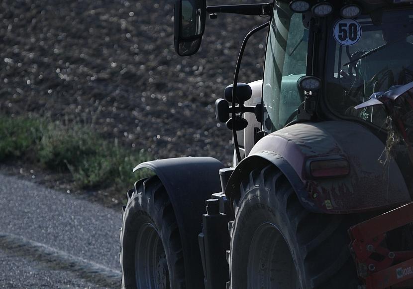 Schweinehalterin warnt vor weiteren Betriebsaufgaben