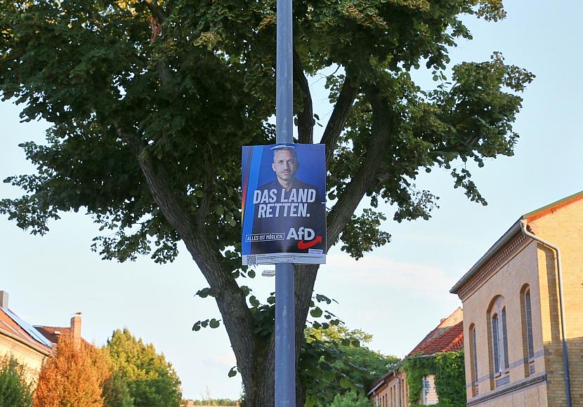 Zentralrat der Juden warnt vor AfD bei Landtagswahl