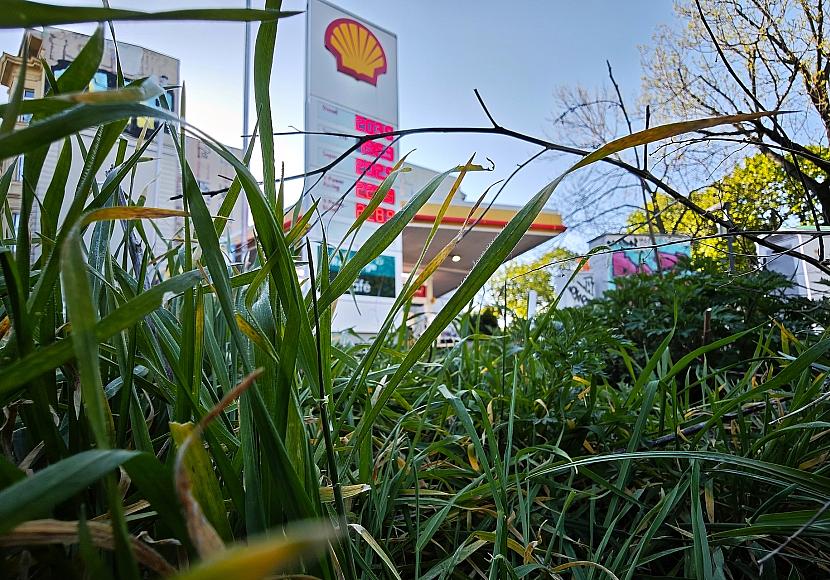 Frei fordert Mehrwertsteuersenkung auf Sprit zum 1. Oktober