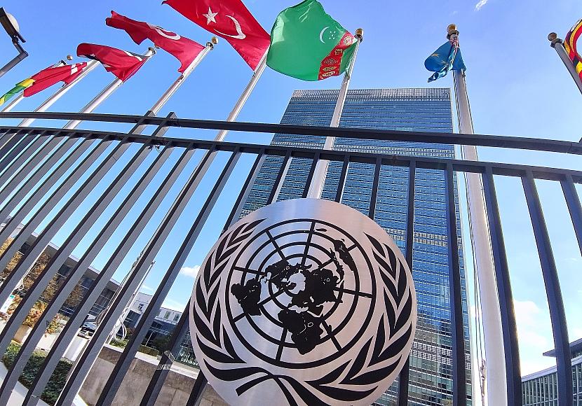 Ex-UN-Botschafter fordern Reform des Sicherheitsrats